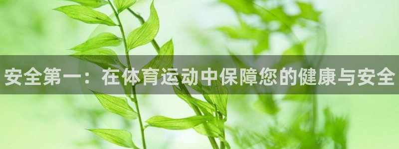 欧亿体育官方正版app集团简介：安全第一：在体育运动