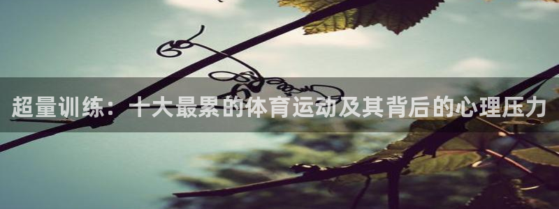 oety欧亿体育官网下载招商电话号码查询是多少：超量
