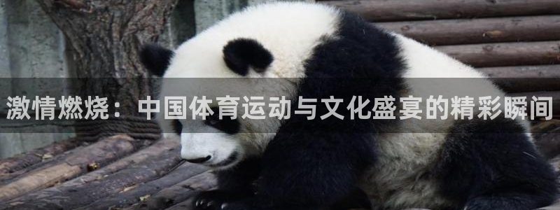 oety欧亿体育官网下载娱乐：激情燃烧：中国体育运动