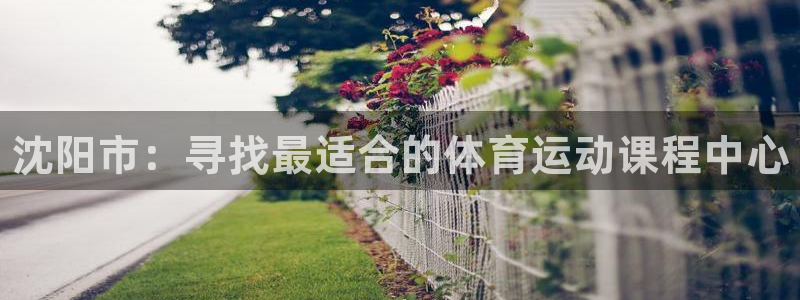 oety欧亿体育官网下载是干嘛的公司：沈阳市：寻找最