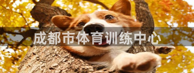 oety欧亿体育官网下载平台注册要钱吗是真的吗：成都