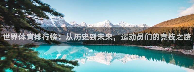 德国欧亿体育官方正版app集团：世界体育排行榜：从历