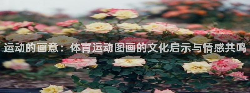 oety欧亿体育官网下载招商电话地址：运动的画意：体