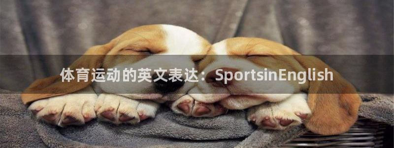 欧亿体育官方正版app官方：体育运动的英文表达：Sp