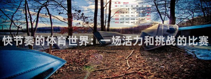 欧亿体育官方正版app官网：快节奏的体育世界：一场活力和挑战