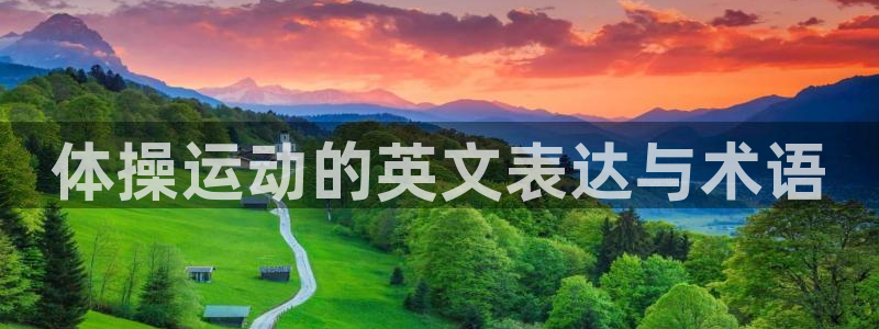 oety欧亿体育官网下载招商电话号码是多少：体操运动