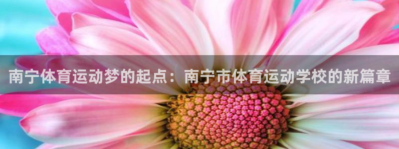 欧亿体育官方正版app娱乐平台：南宁体育运动梦的起点：南宁市