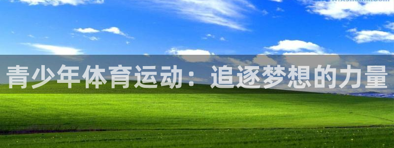 oety欧亿体育官网下载平台注册流程图：青少年体育运动：追逐