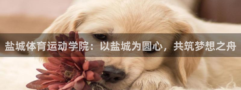 欧亿体育官方正版app神州：盐城体育运动学院：以盐城为圆心，
