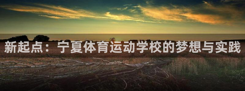 欧亿体育官方正版app娱乐40996：新起点：宁夏体育运动学