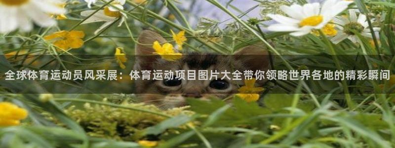 海南oety欧亿体育官网下载发展怎么样：全球体育运动员风采展